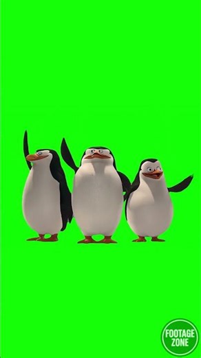 Just Smile and Wave Boys - Madagascar (Green Screen) | Footage 4K #shorts #madagascar