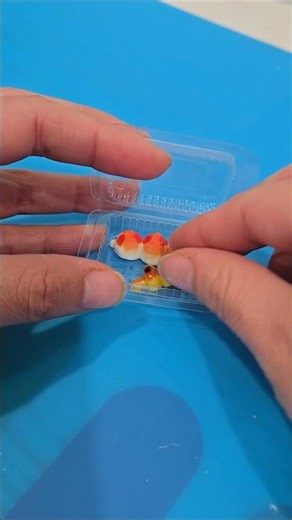 Adorable Mini Plastic Containers 😍 Dollhouse Storage