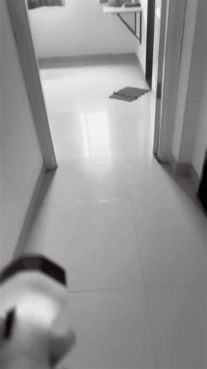 RESTRICTED_342-file_DONT OPEN