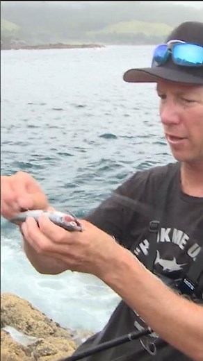 Simple way to bait up, to catch fish!