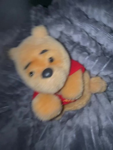 Winnie the Pooh: Exploring the Magic of Friendship