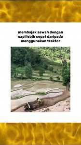 Mesin traktor menangis melihat ini... | Ngakak Dikit