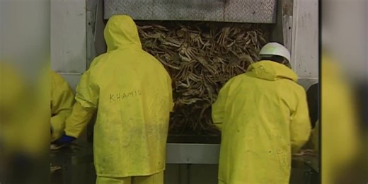 3 BRILLIANT MINUTES: The great snow crab disappearance