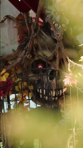 🌙 Wenn das Wunderland leuchtet – Halloween bei Nacht 🎃