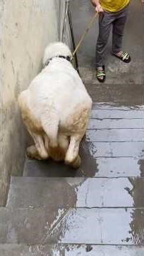 Today we had a math half-book test in college,and the academy was closed due to heavy rain|Day05/05|