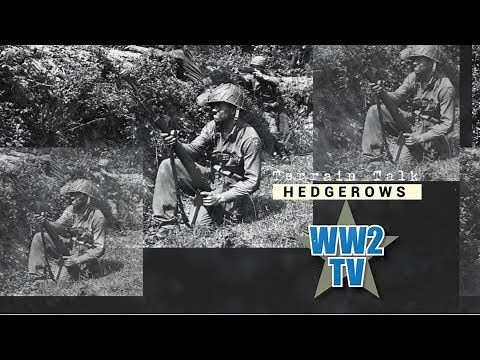 Hedgerows - the Normandy Bocage