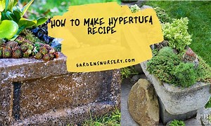 How To Make Hypertufa Recipe | GARDENS NURSERY