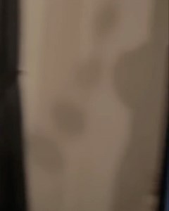 19K views · 56 reactions | Charlie Sloth on Reels | Facebook