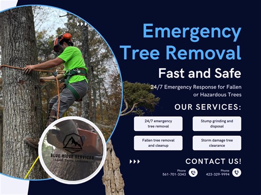 Did you know we offer 24/7 Emergency Tree Removal Services?  When a tree becomes a danger, every minute matters! We offer 24/7 emergency tree removal to protect your home, property, and peace of mind. #EmergencyTreeService #EmergencyTreeRemoval | Blue Ridge Services | Facebook