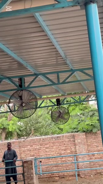 Exploring the Daily Life on a Dairy Farm