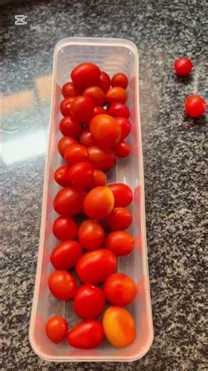 Cherry Tamatoes in Temu containers stayed fresh for 3 weeks