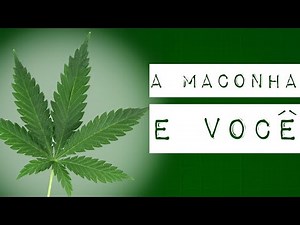 A MACONHA E VOCÊ