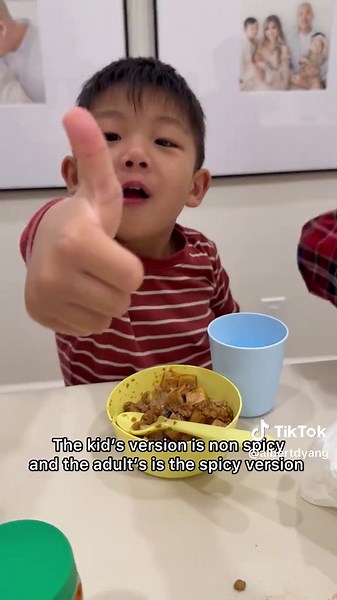 Mapo Tofu Recipe for Families - Step by Step Guide