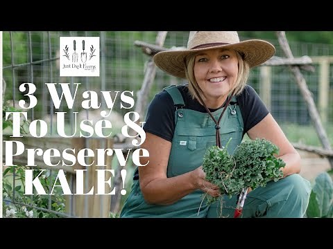 3 Ways To Use & Preserve KALE!