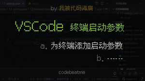 VSCode 为终端添加启动参数｜Visual Studio Code 教程