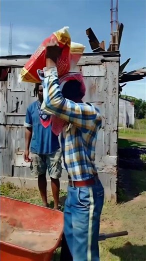 The Buddy in the Village Secure Sack of Rice #fypシ゚viral #laughter