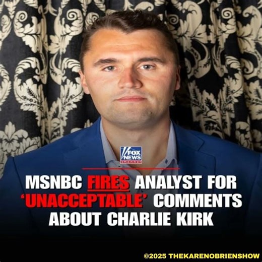 MSNBC Analyst Fired Amid Controversy