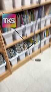 Kids love this simple flying bats activity! This is great for October and fall! For more bat ideas, click here: https://thekindergartensmorgasboard.com/2024/09/kindergarten-science.html | Kindergarten Smorgasboard