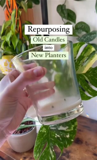 Creative Ways to Reuse Candle Jars for DIY Plant Projects