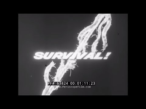 DISASTER AT SEA 1956 SINKING OF THE OCEAN LINER SS ANDREA DORIA DOCUMENTARY FILM 63824