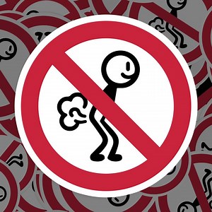 No Farting Sticker, Warning Sign Vinyl Decal, for Laptop Car, Book, Water Bottle, Helmet, Travel Bag, ... - Etsy