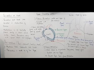 Pericardium | Pericardium Anatomy | Part 02
