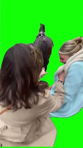 That Romantic Ride Turned into a Disaster – Green Screen