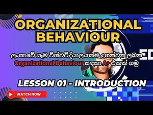 Organizational Behaviour. Lesson 01. Introduction To Organizational Behaviour.