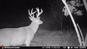 Heavy 8 | Jesse Richard