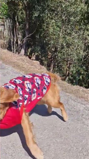 #❤️❤️#😀😀#