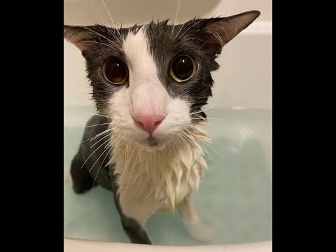 Grinding astral divinity (day 3)