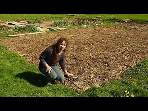 Sheet mulching Part 1 - How to sheet mulch your garden