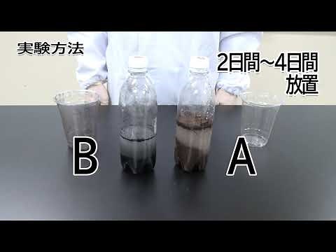 [ 教員用 ] 中学生物分野 実験動画「土の中の微生物のはたらき」（実験方法編） ver.3