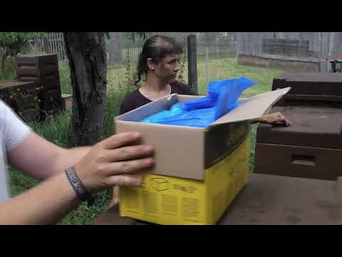 Apifonda Bienenfutter füttern