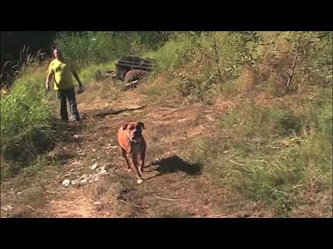 john deere 2305 transmission oil and filter change