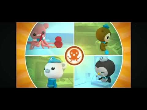 Octo Alert Test Animation