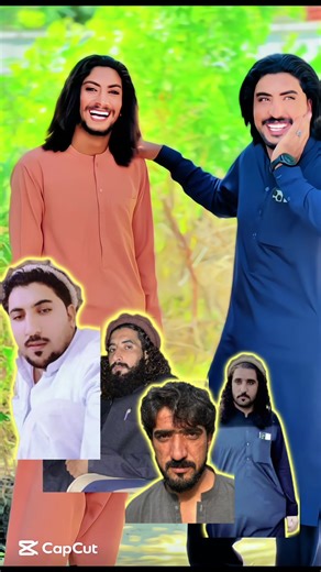 Explore the Majestic World of Big Cats