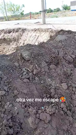 Videos de Alma Delia (@alma.delia_r.montes) con “original sound - Adrianaaaa”