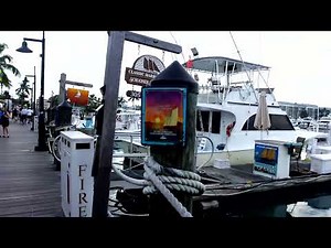 Key West LIVE from Schooner Wharf