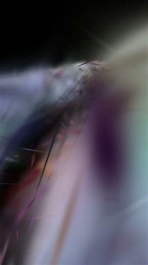 “steel” is the fourth and final vision from visible cloaks’ paradessence ⿻⿻⿻