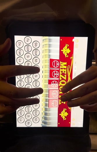 Soñador eterno - Intocable l Acordeón de Mi (tonalidad D)