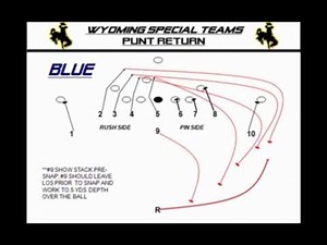 Punt Return Scheme Grinch