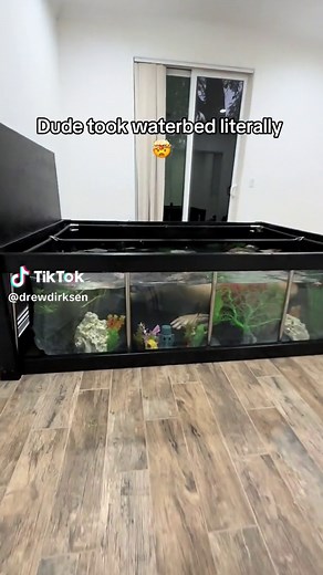 My new waterbed | Waterbed