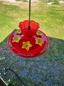 Watch Great small hummingbird feeders. on Amazon Live