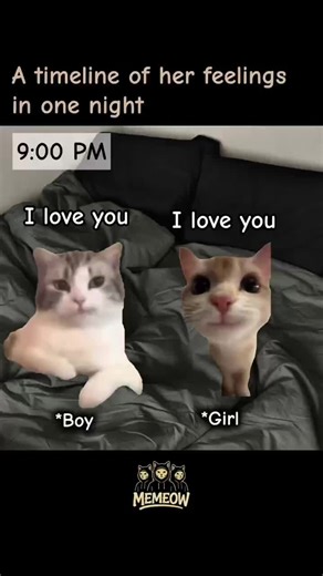 MEMEOW (@memeow_us)’s videos with original sound - MEMEOW