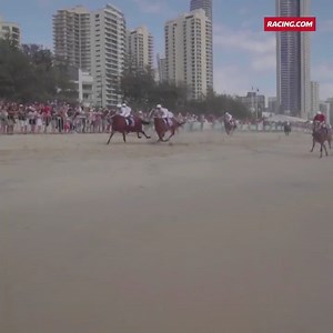 7.7K views · 114 reactions | You can never get sick of watching this...  One of the highlights on @mmsnippets, the annual beach gallop. ☀️ | Racing.com | Facebook