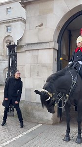 Eye contact with the Guard makes him smile | Guards ASMR