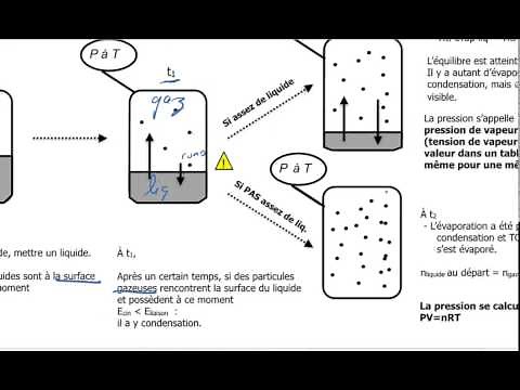 5A-Pression de vapeur d'équilibre (tension de vapeur)