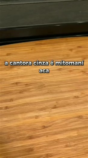 SZA é mitomaníaca | @itsvictoriahale #videosatisfatorio #curiosidades #satisfying #teoria #SZA