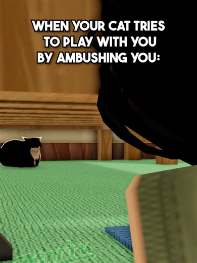 Cat Pounce #zenriru #roblox #robloxanimation #fyp #relatable #cat